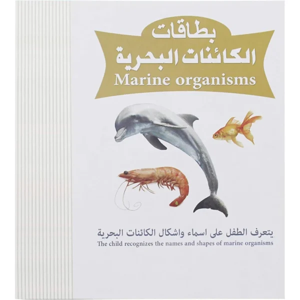 Educational Cards with Marine Organisms Pictures for Kids